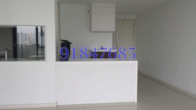 Riversound Residence (D19), Condominium #90581142